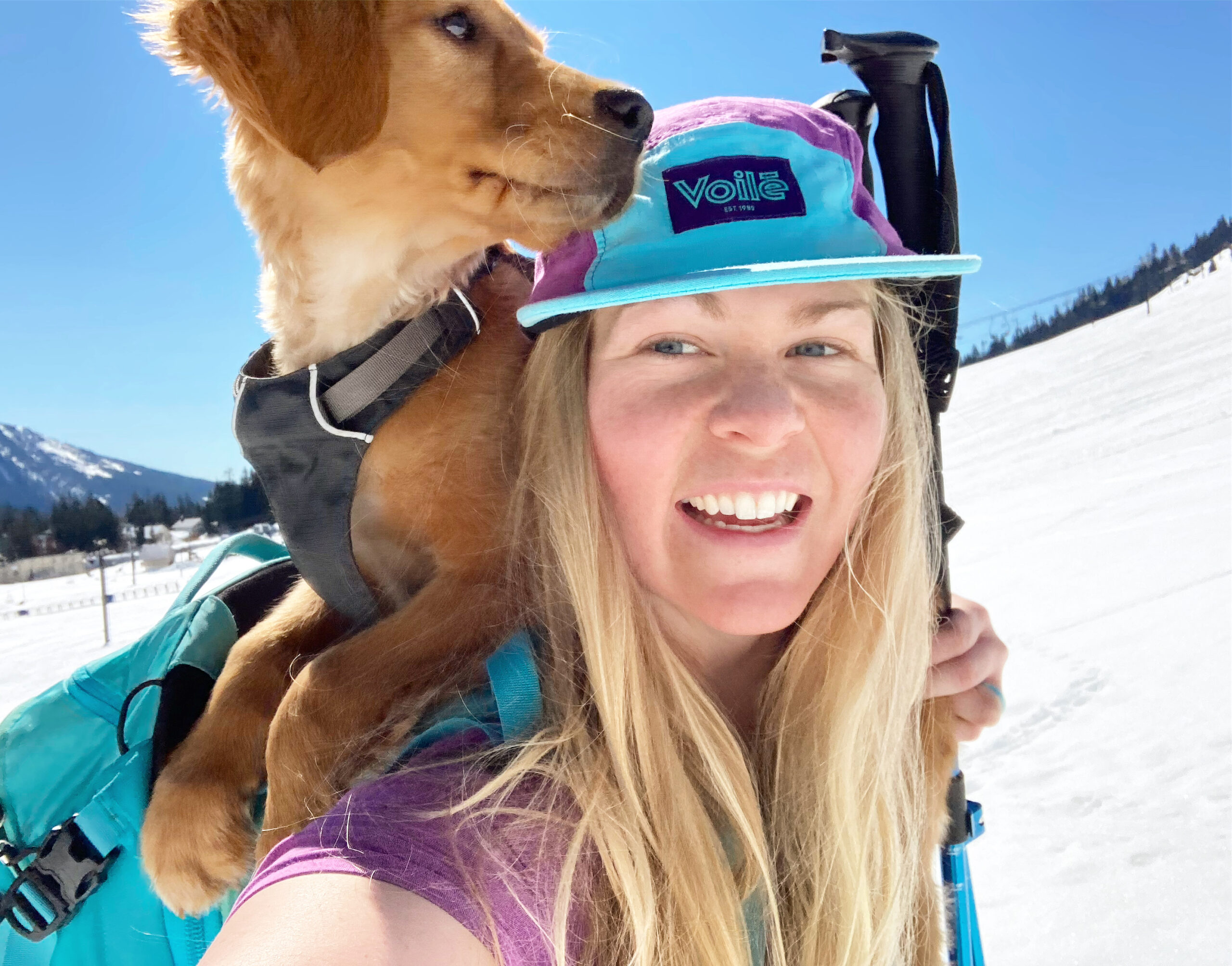 Taking Your Dog Backcountry Skiing Voile